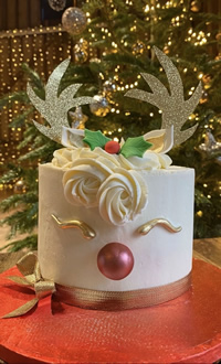 Cake decorating classes